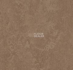 Линолеум Forbo Marmoleum Decibel on Order 325435 clay фото 1 | FLOORDEALER